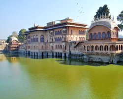 The Palace